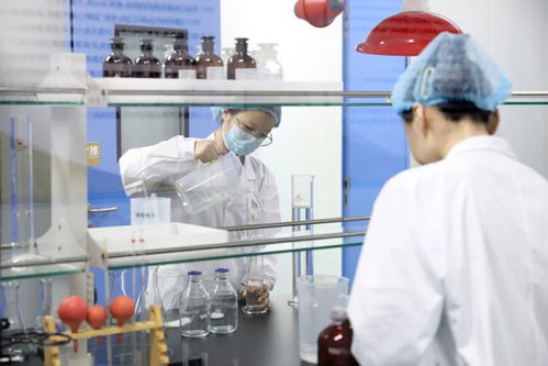 这个山东人,要将一株 小菊苣 卖出百亿