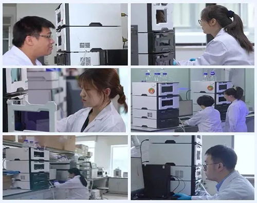 坚持不懈 打造中国自主研发高效液相色谱仪 公司新闻 科学仪器服务商