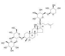 Ginsenoside-Rb3/人参皂苷Rb3(68406-26-8,C53H90O22)98% 纯化研发定制